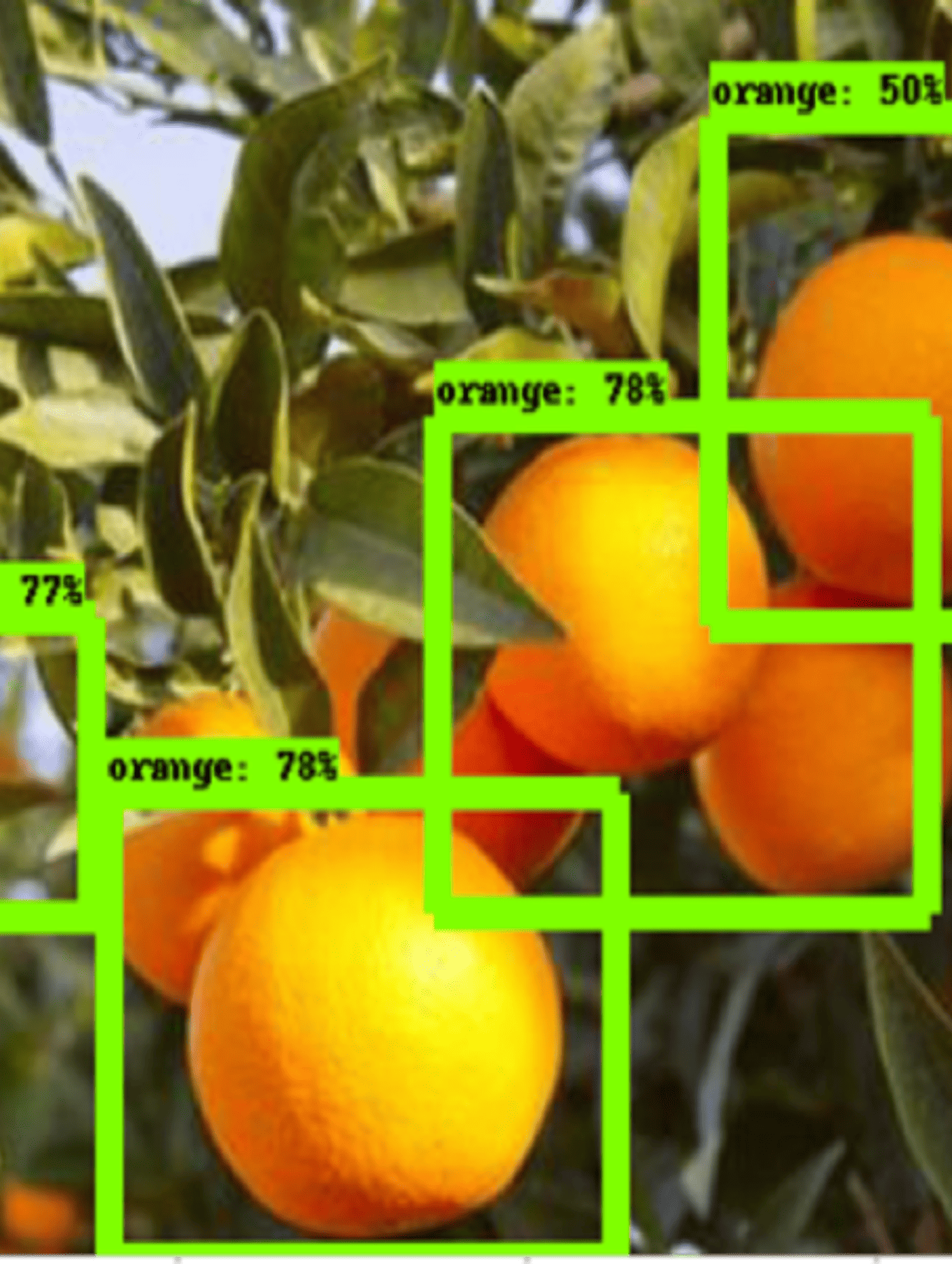 aforamiento cultivo deep learning