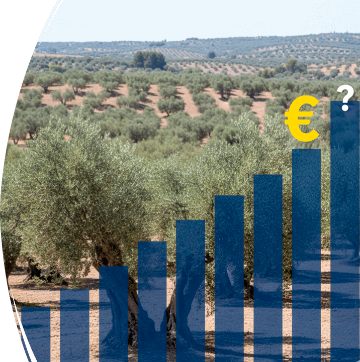 huella creditos de carbono