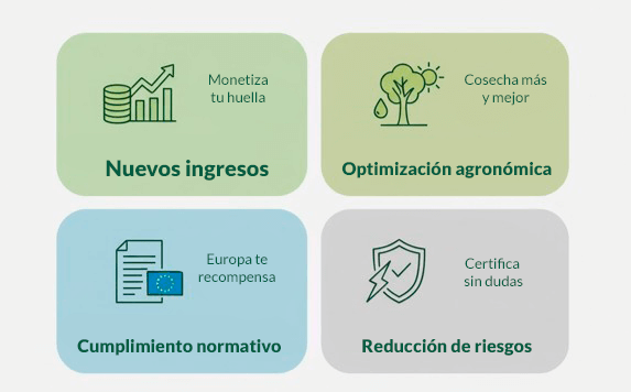 creditos-y-huella-de-carbono
