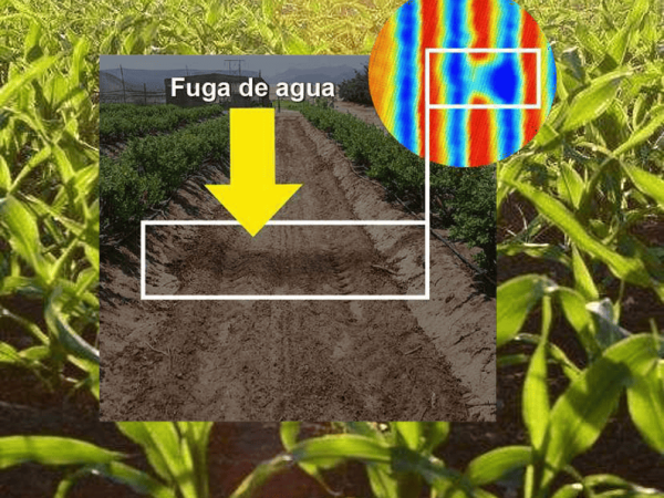 detección de fugas de riego en agro e industria con drones