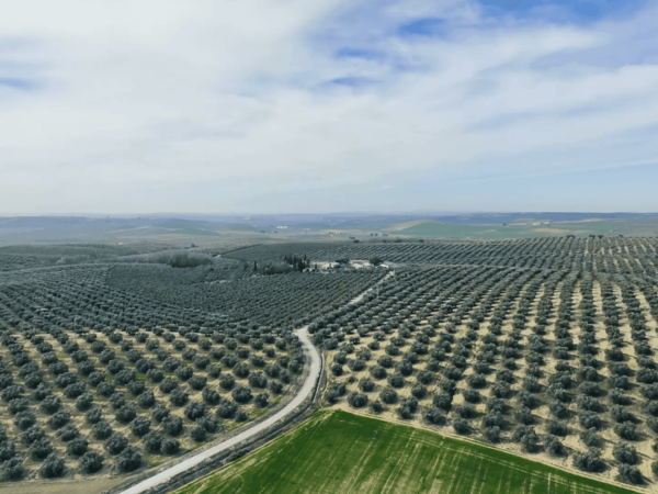 agricultura inspeccion con drones