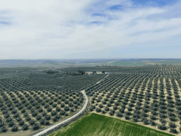 agricultura inspeccion con drones