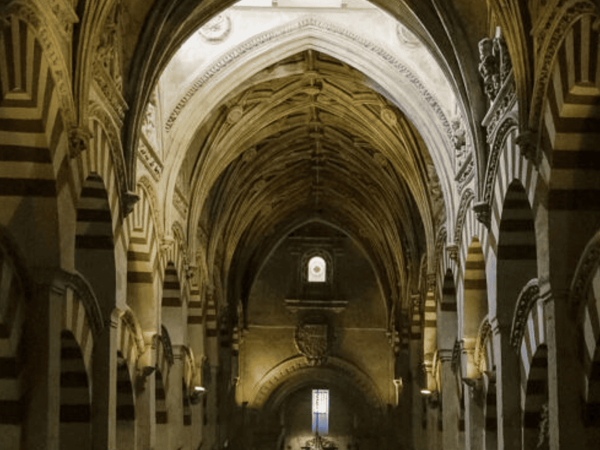 video institucional con drones